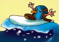 surf on humor see dago